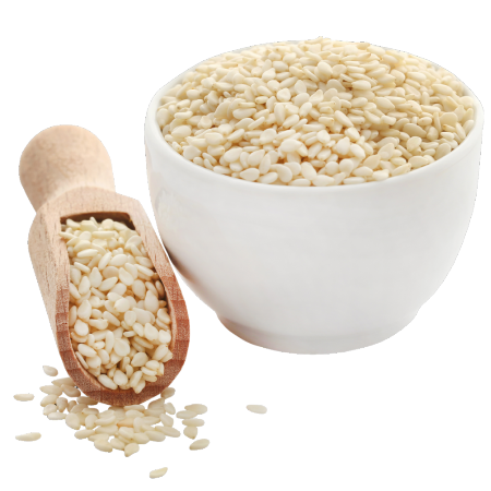 Sesame Seed